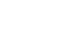 logo_explorer